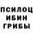 Псилоцибиновые грибы Psilocybine cubensis safnaxpanex kamalov