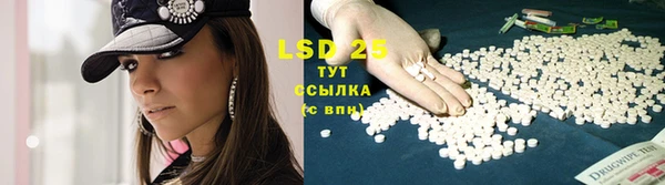 крисы Белоозёрский