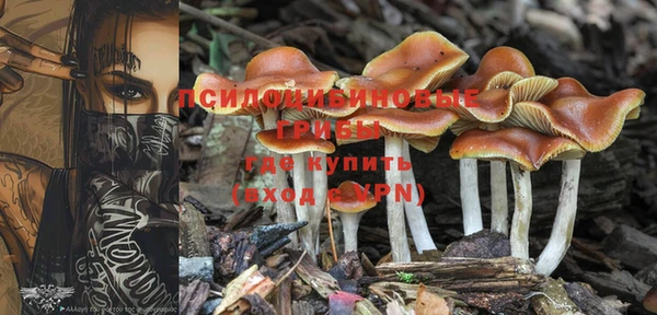 Альфа ПВП Беломорск