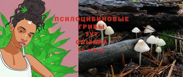 крисы Белоозёрский