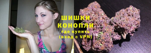 дмт Белокуриха