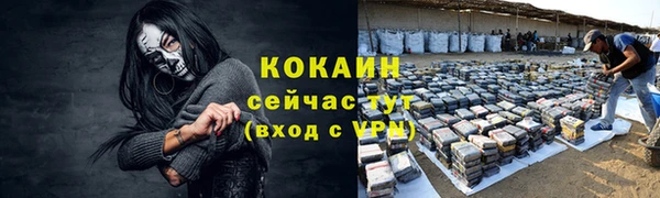 дмт Белокуриха